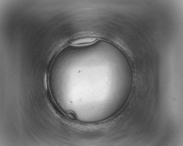 X0000064730014200602241736