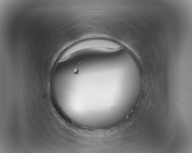 X0000064730015200602241736