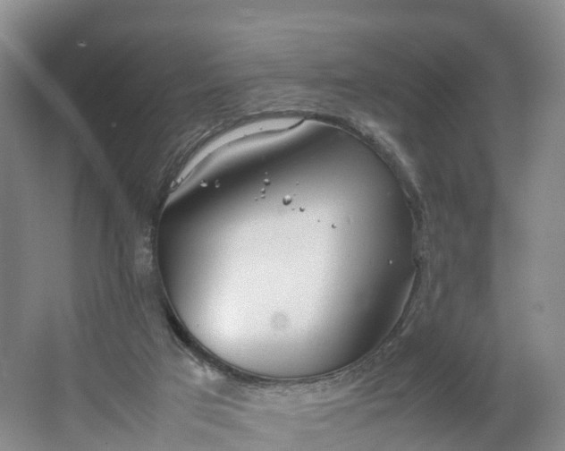 X0000064730017200602241736