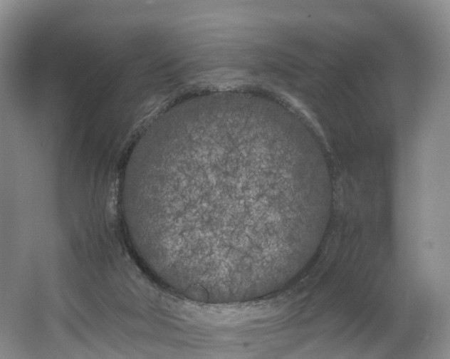 X0000064730018200602241736