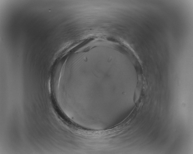 X0000064730019200602241736