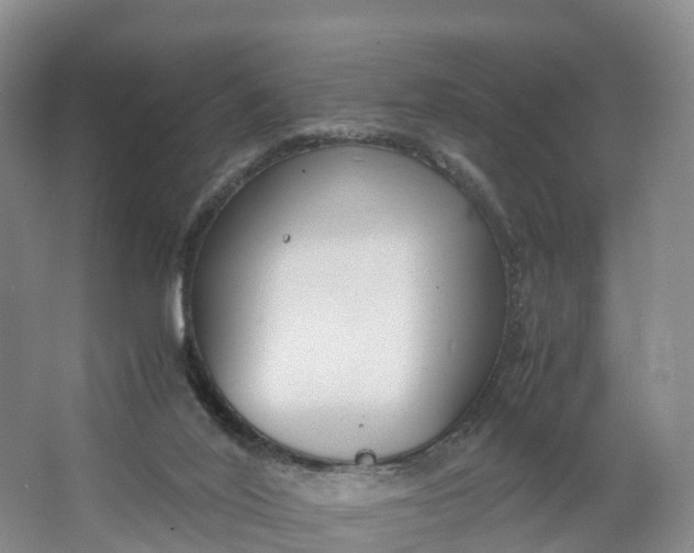 X0000064730020200602241736