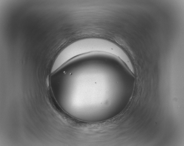 X0000064730021200602241736