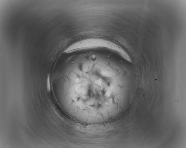 X0000064730022200602241736