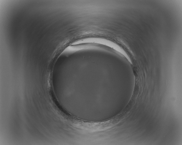 X0000064730023200602241736