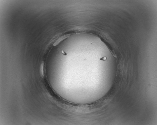 X0000064730024200602241736