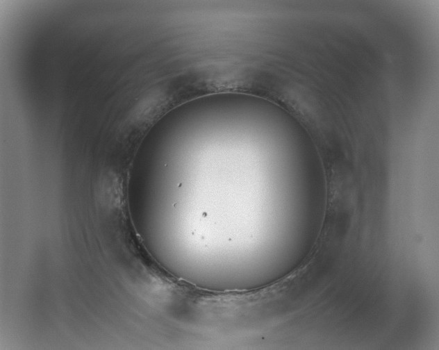 X0000064730025200602241736