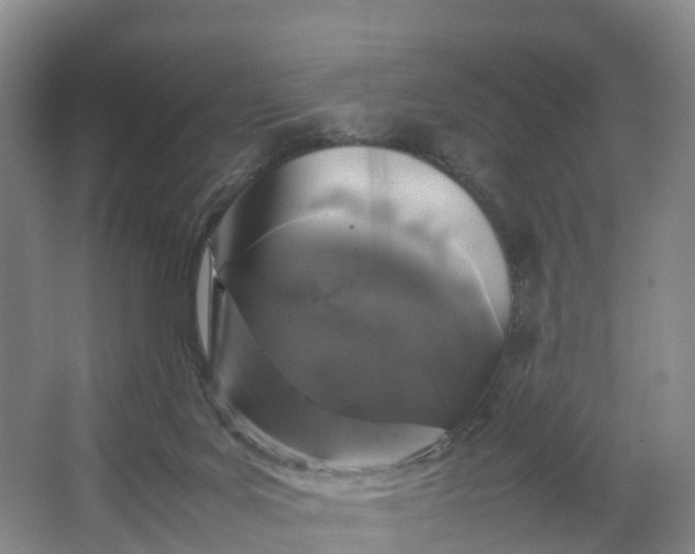 X0000064730027200602241736