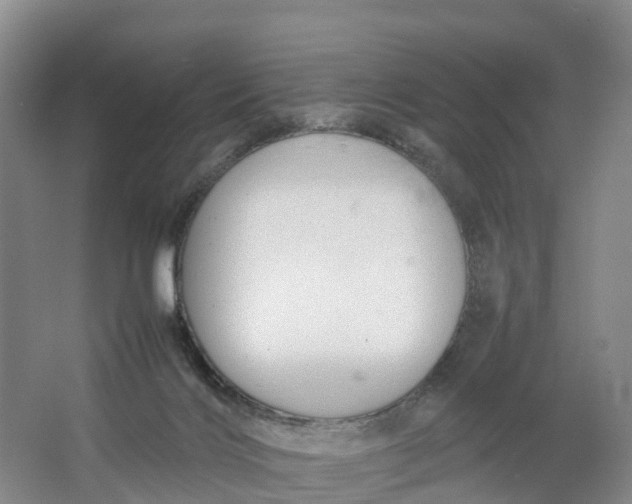 X0000064730028200602241736