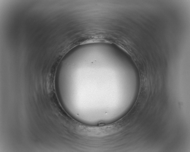 X0000064730030200602241736