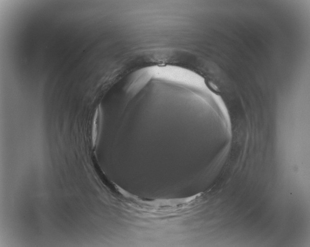 X0000064730031200602241736