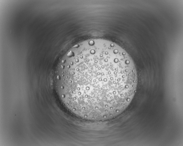 X0000064730032200602241736