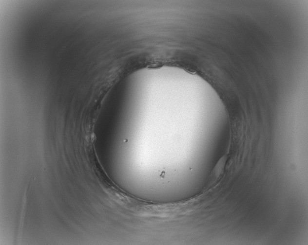 X0000064730033200602241736