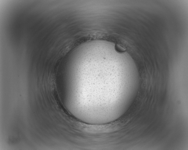 X0000064730034200602241736