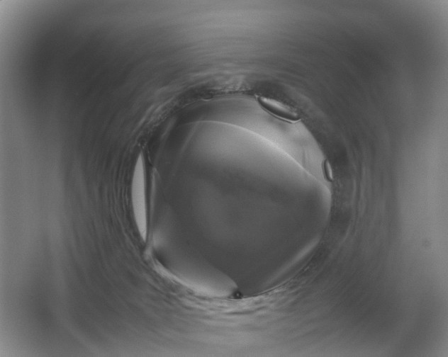 X0000064730035200602241735