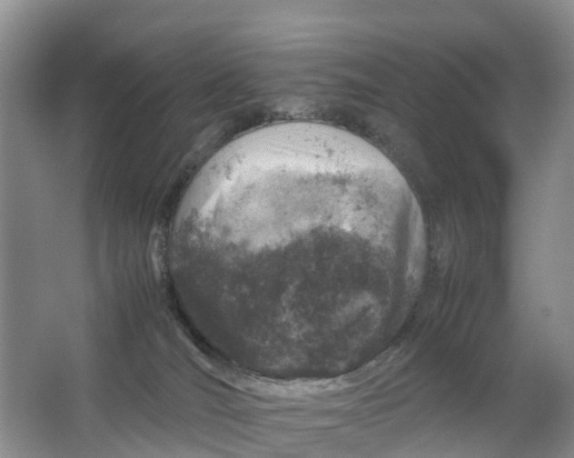 X0000064730036200602241735