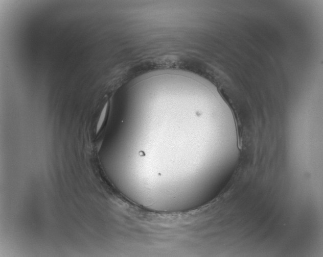 X0000064730037200602241735