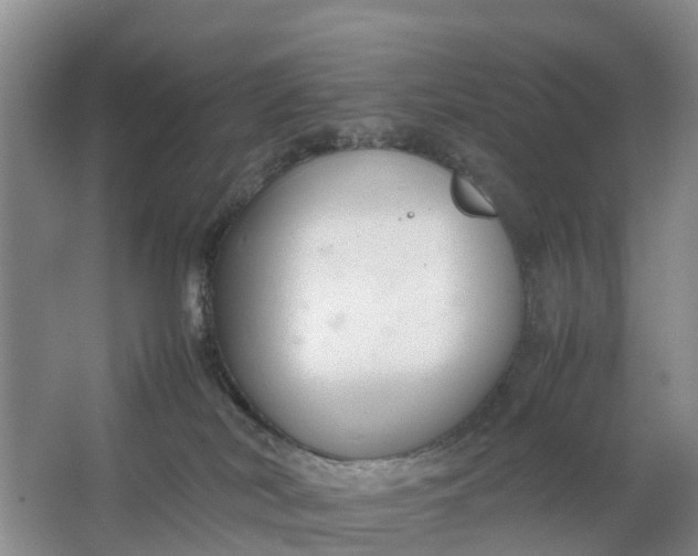 X0000064730038200602241735