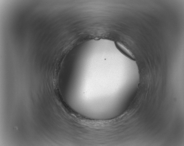 X0000064730040200602241735