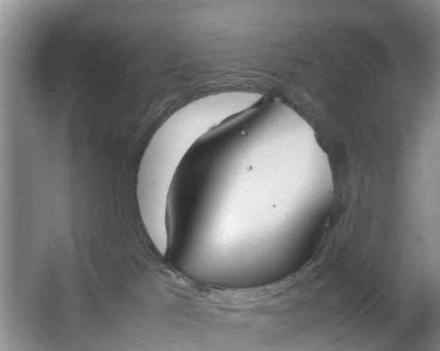 X0000064730041200602241735