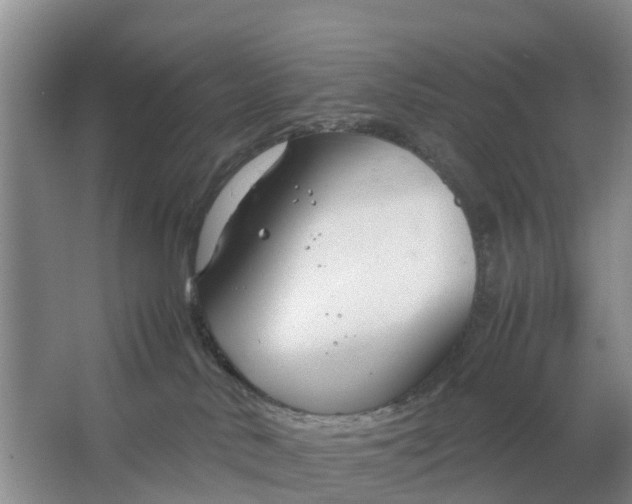 X0000064730042200602241735