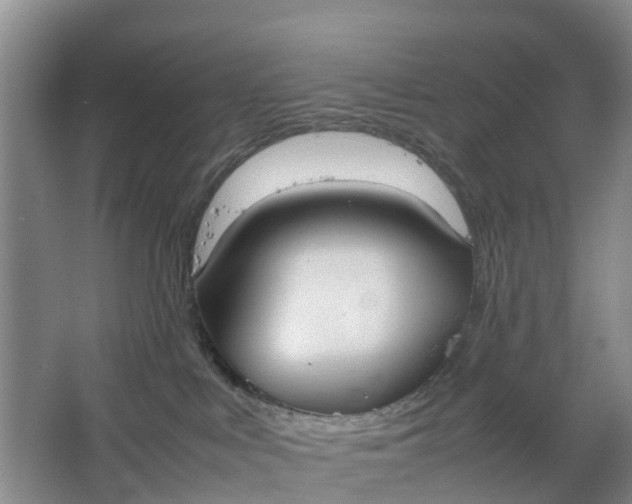 X0000064730043200602241735