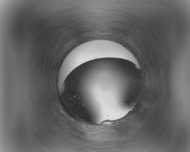 X0000064730044200602241735