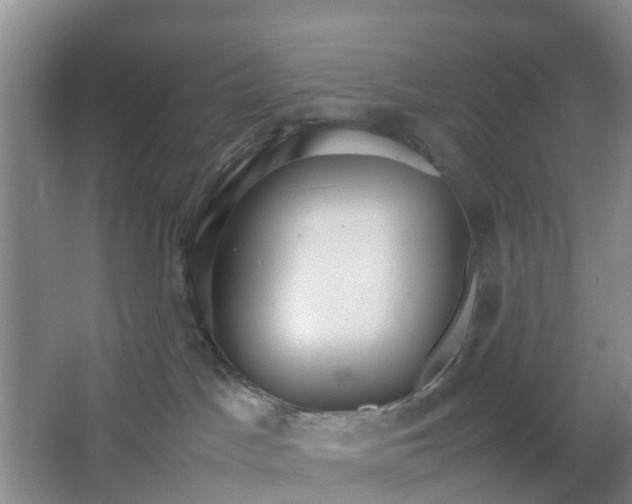 X0000064730045200602241735