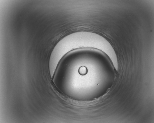 X0000064730047200602241735