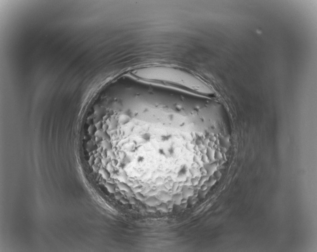 X0000064730049200602241734