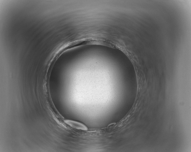 X0000064730050200602241734