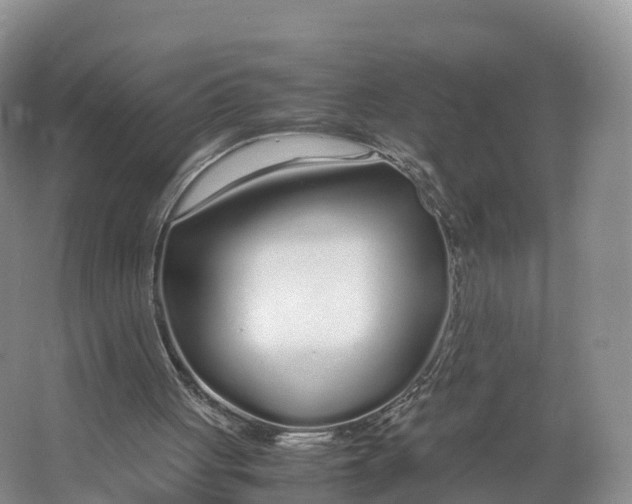 X0000064730051200602241734