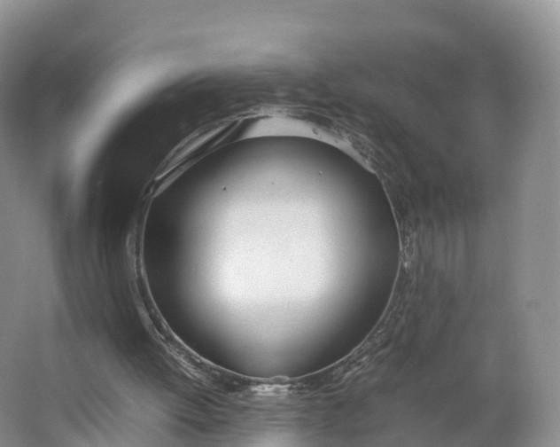 X0000064730052200602241734