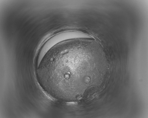 X0000064730053200602241734