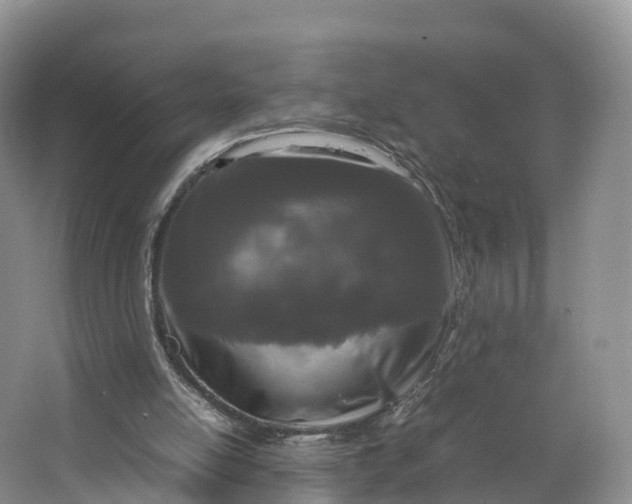 X0000064730054200602241734