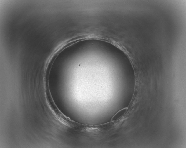 X0000064730055200602241734