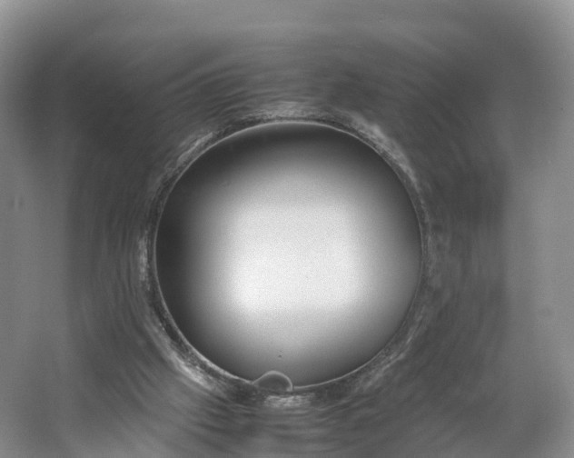 X0000064730057200602241734