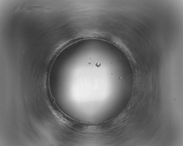 X0000064730058200602241734