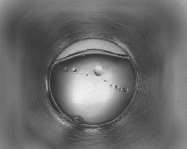 X0000064730061200602241734