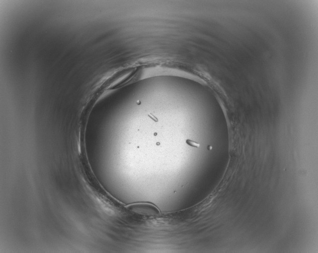 X0000064730062200602241734