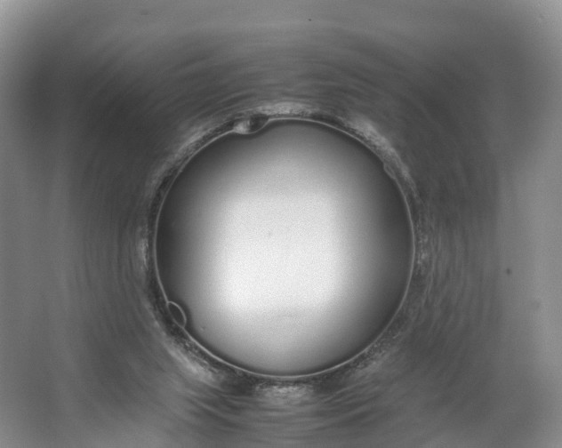 X0000064730063200602241734