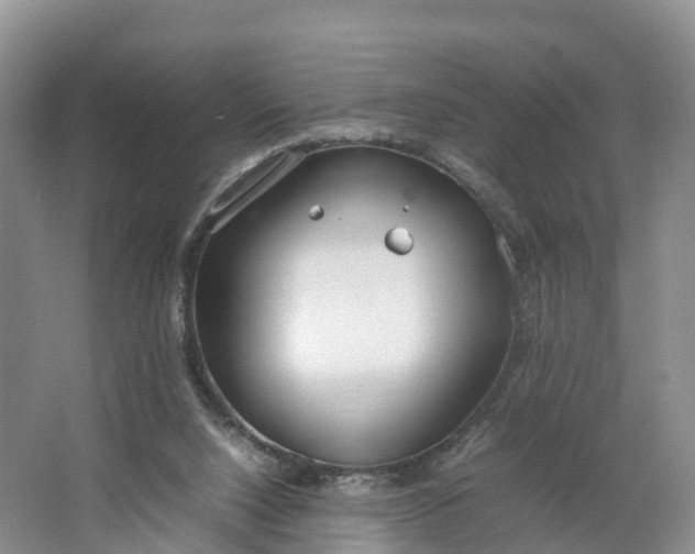 X0000064730064200602241734