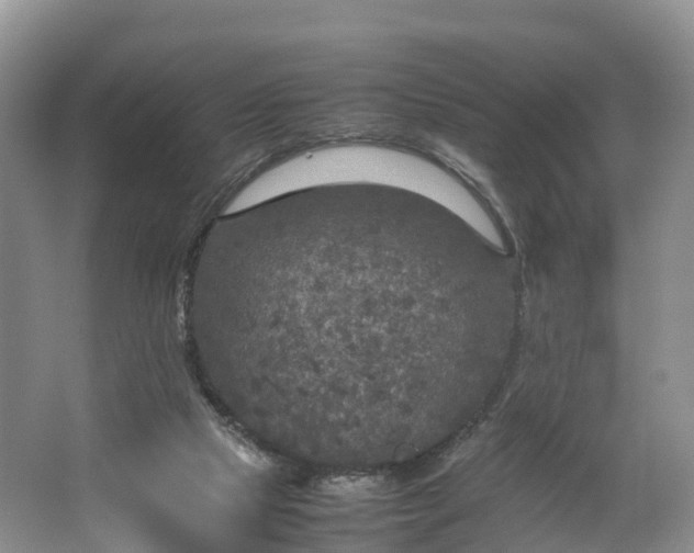 X0000064730065200602241734