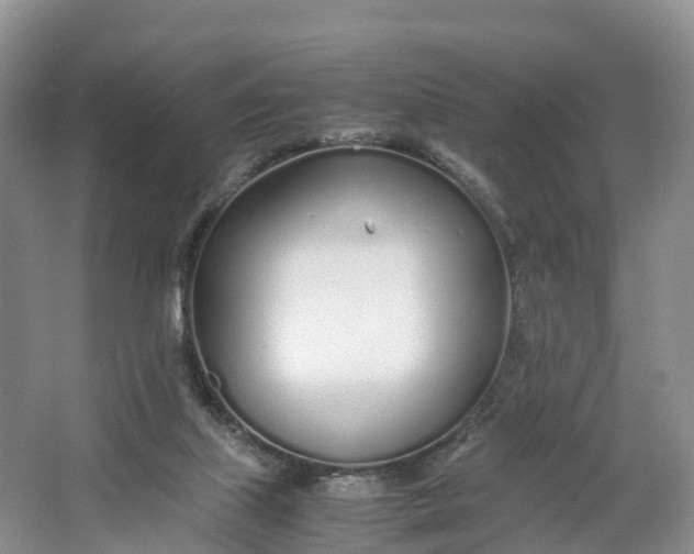 X0000064730067200602241734