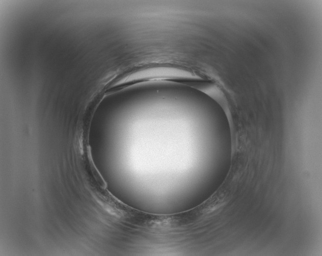 X0000064730068200602241734