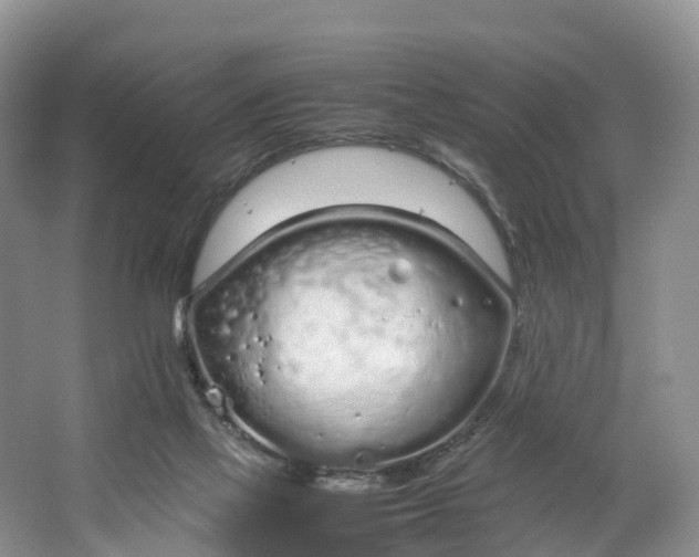 X0000064730069200602241734