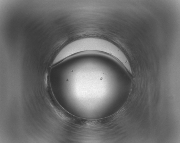 X0000064730070200602241734