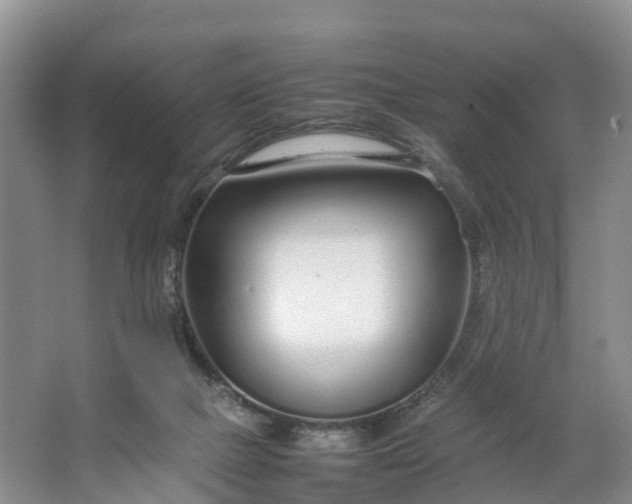 X0000064730073200602241735