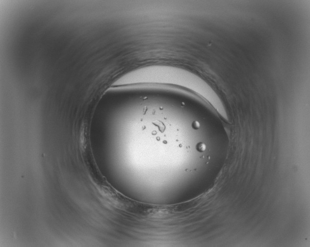 X0000064730074200602241735