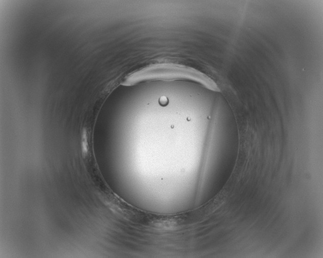 X0000064730075200602241735